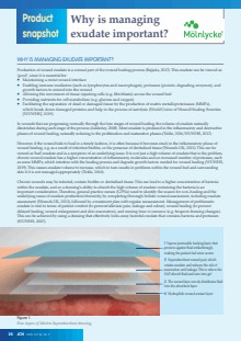 Why is managing exudate important?